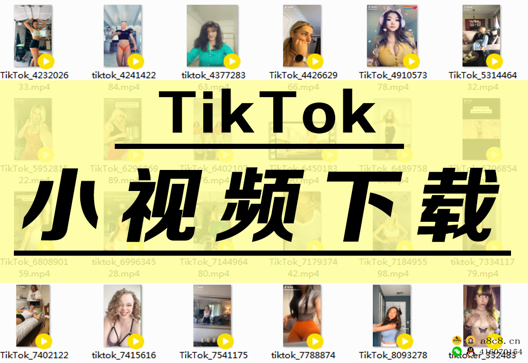 【下载】第十八期-TikTok美女小视频下载，1024部打包下载