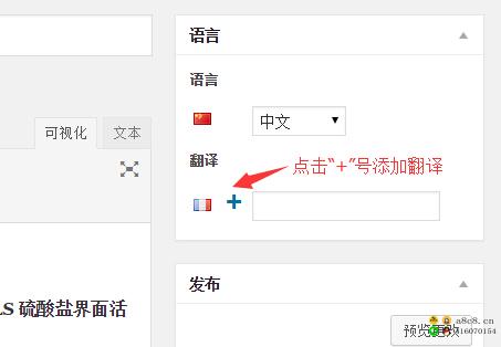 WordPress 多语言站点的开发设置方法 —— Polylang 插件或多站点方式