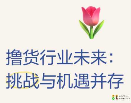 全品类撸货赚钱方案+极致压缩本金的独家一手线报+万物皆可撸